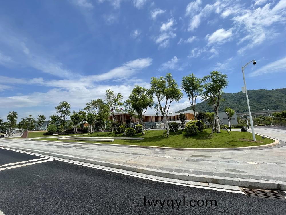 高鐵站綠(lv)化案例